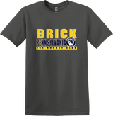 PA Brick Softstyle T-Shirt