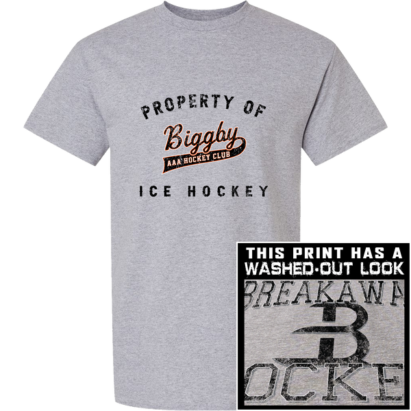 Biggby AAA Premium Short Sleeve Tee